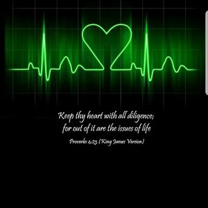 Meet your Posher, Terena